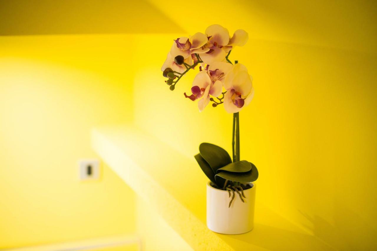Apartment Jacobs Блед Экстерьер фото